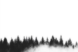 A silhouette of the majestic pine trees looms large against a misty backdrop, collectively creating a serene view that beautifully showcases the exquisite splendor and calm essence of nature itself photo