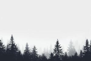 This tranquil scene showcases a serene misty landscape where silhouetted pines gracefully emerge from the dense fog, resulting in a profoundly serene atmosphere amidst natures minimalist beauty photo