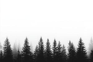 This serene landscape features silhouetted pine trees in gentle fog, creating a tranquil atmosphere that highlights the simple beauty of nature and allows appreciation for the peaceful surroundings photo