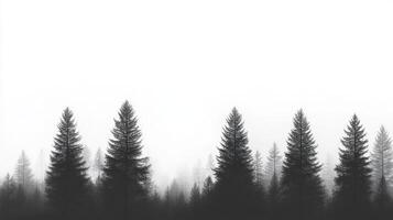 This minimalist image of a foggy forest with silhouetted black pine trees against a bright white background evokes serenity and emotions, encouraging personal reflection and tranquil contemplation photo