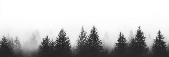 A serene and tranquil silhouette of tall pine trees, gently enveloped in a light mist, creates an enchanting atmosphere that is profoundly defined by the unique beauty and minimalism found in nature photo