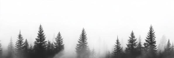This beautiful and tranquil scene showcases a misty forest featuring silhouetted pine trees that collectively envelop the entire landscape in an overwhelmingly emotional and serene atmosphere photo