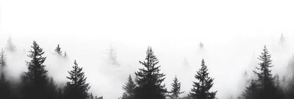 A beautiful and tranquil landscape depicts elegant silhouette pine trees that are shrouded in soft mist, which together create a soothing, serene, and emotionally captivating atmosphere within nature photo