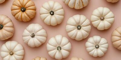 A cozy flat lay of beige and white pumpkins on a pastel background, perfect for autumn decor. It captures the charm of the season, celebrating the warmth and joy of harvest holiday gatherings photo