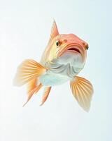 A fish with long fins and a big mouth photo
