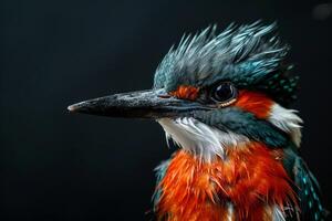 A close up of a bird with wet feathers photo