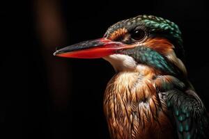 A close up of a bird with a bright red beak photo