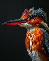 A close up of a bird with a long beak photo