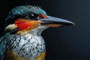 A close up of a bird with a colorful head photo