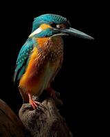 A colorful bird is perched on a branch photo