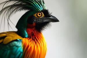 A colorful bird with a long mohawk photo