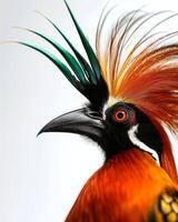 A bird with a colorful mohawk on its head photo
