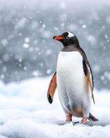 A penguin standing on the snow covered ground photo