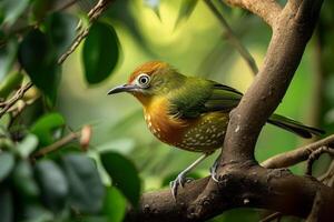A small bird is perched on a branch photo