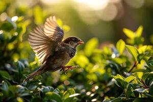 A bird is flying through the air in front of green leaves photo