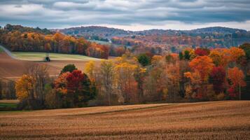 Autumnal Landscape with Rolling Hills and Colorful Foliage photo