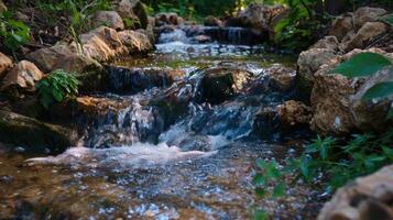 Tranquil Creek Flowing Over Rocks photo