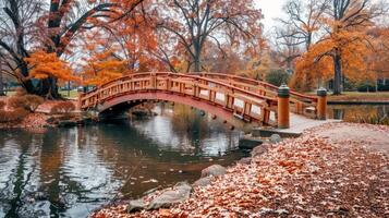 Autumnal Bridge Over a Serene Pond photo