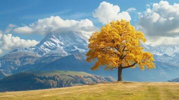 Autumnal Tree Against Snowy Mountain photo