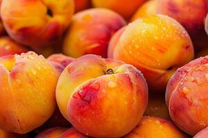 A close up of a bunch of peaches photo