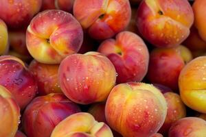 A close up of a bunch of peaches photo
