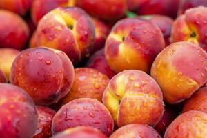 A Bunch Of Peach photo