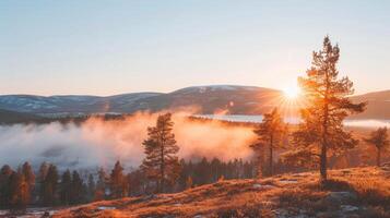 Sunbeams Through Morning Fog in the Mountains photo