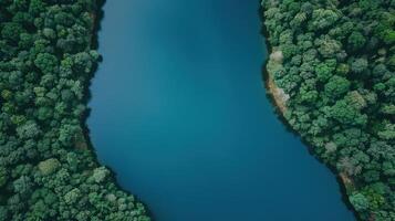 Aerial View of a Serene Lake Surrounded by Lush Greenery photo