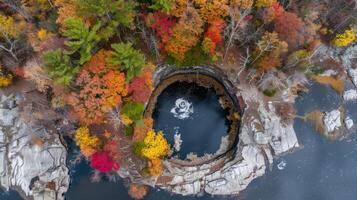 Aerial View of Autumnal Forest with Circular Lake photo