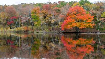 Autumn Reflections on a Still Pond photo