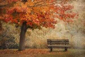 Secluded Park Bench Under Autumn Maple photo
