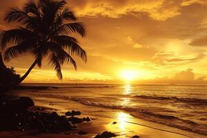 Golden tropical sunset casting glow on palm beach photo