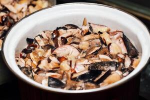 Cooking forest edible mushrooms. Boil chopped Imleria badia, Suillus, Leccinum in a saucepan. photo