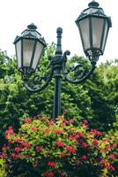 Street lights with garden plants in pots on it in the park during the day. photo