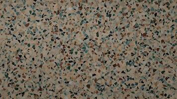 Colorful Terrazzo Floor Texture with Marble and Stone Chips photo