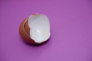 an egg shell isolated on purple background photo