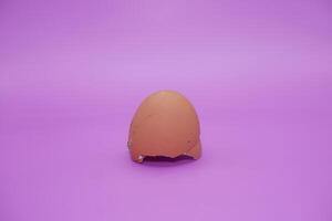 an egg shell isolated on purple background photo