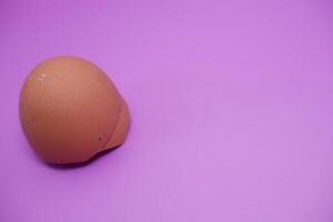 an egg shell isolated on purple background photo