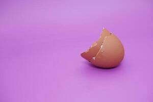 an egg shell isolated on purple background photo