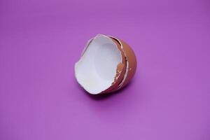 an egg shell isolated on purple background photo