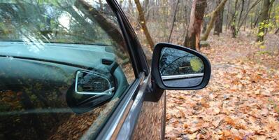 Panoramic Photo Of Side Part Of Car In Autumn Forest With Fallen Leaves