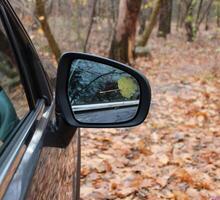 Square Stock Photo Of Car Mirror With Sticked Leaf
