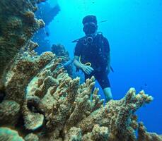 Scuba Diving Exploration in Coral Reef photo