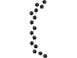 A path of paw prints of pets, dog or cat. illustration drawn with chalk or charcoal on white background. vector