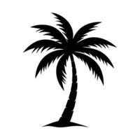 Palms tree flat illustration on white background vector