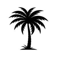 A Palm tree silhouette isolated on a white background. palm trees silhouette illustration vector