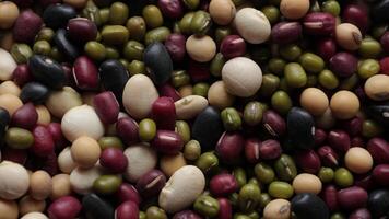 Top view of beans background video