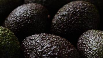 Avocado fruit, closeup of avocados fruit with drops video