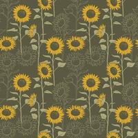 Sunflower field pattern background. vector