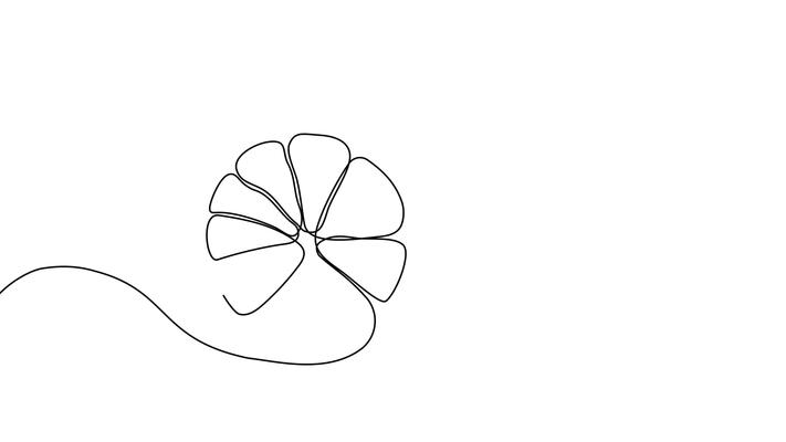 Flower Animation Stock Video Footage for Free Download